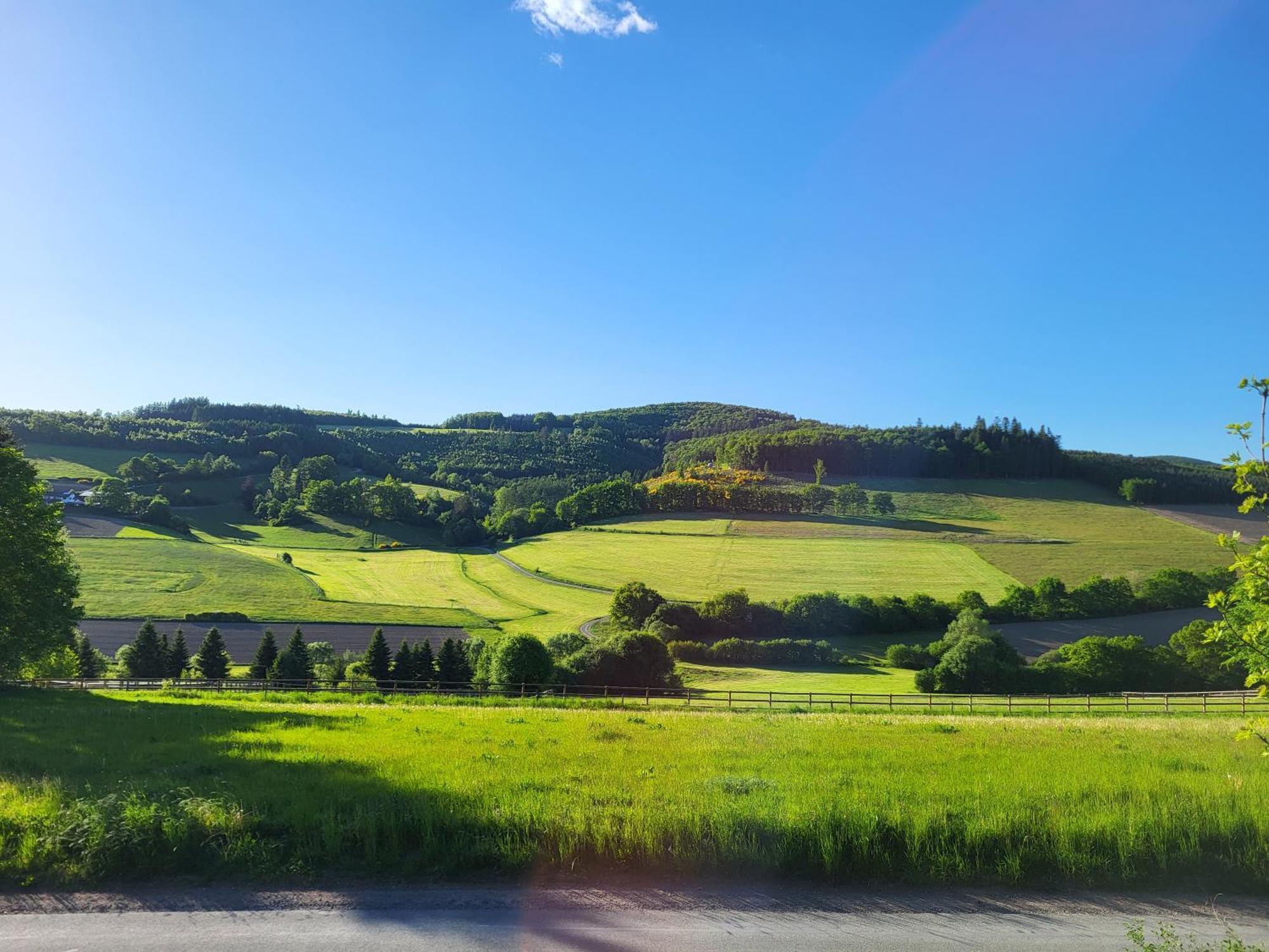 Апартаменты Lausebuche Im Sauerland Леннештадт Экстерьер фото